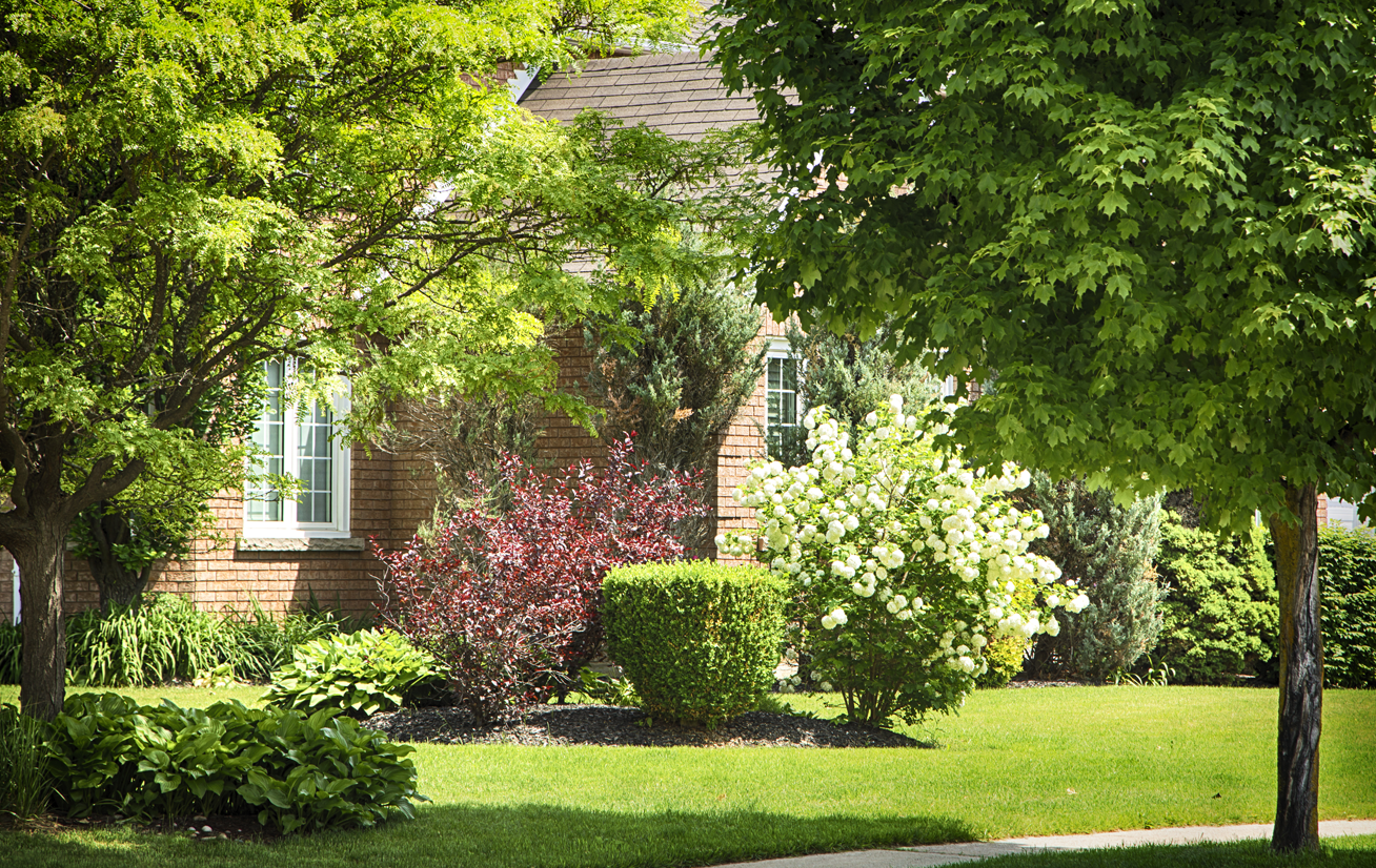 A lush, green garden in front of a brick house.