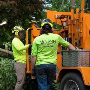men near tree equiptment