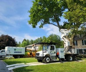 flynn truck and crane