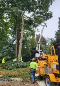 storm damage cleanup