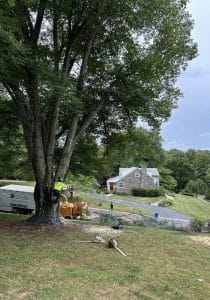 storm cleanup