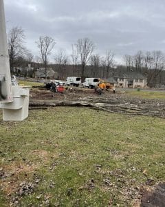 land clearing